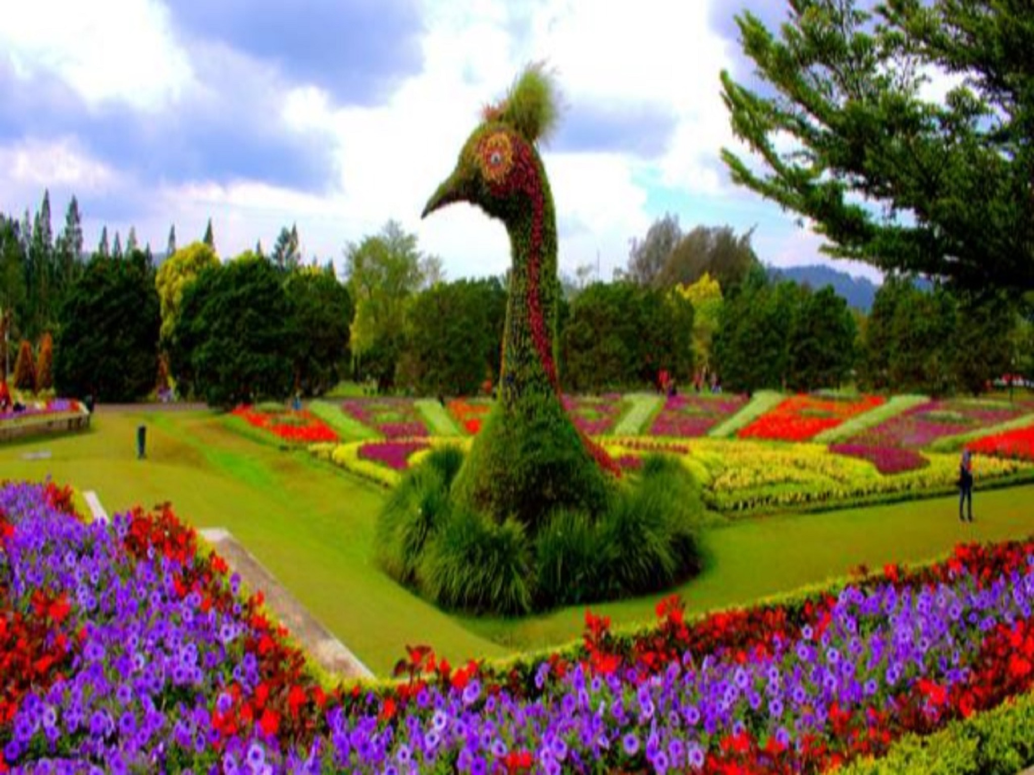 حديقة الزهور الإندونيسية