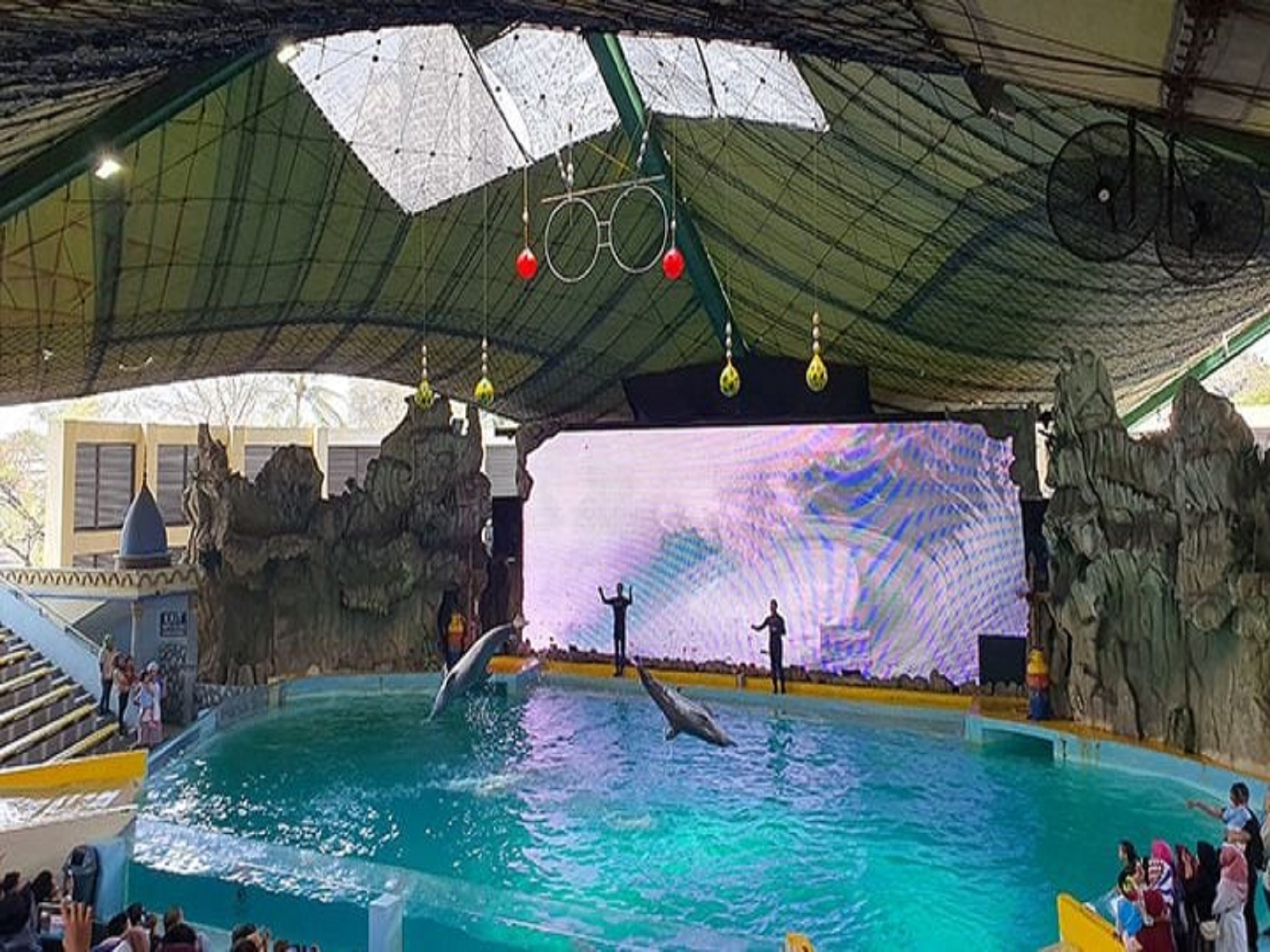 عوشان دريم صمودرا