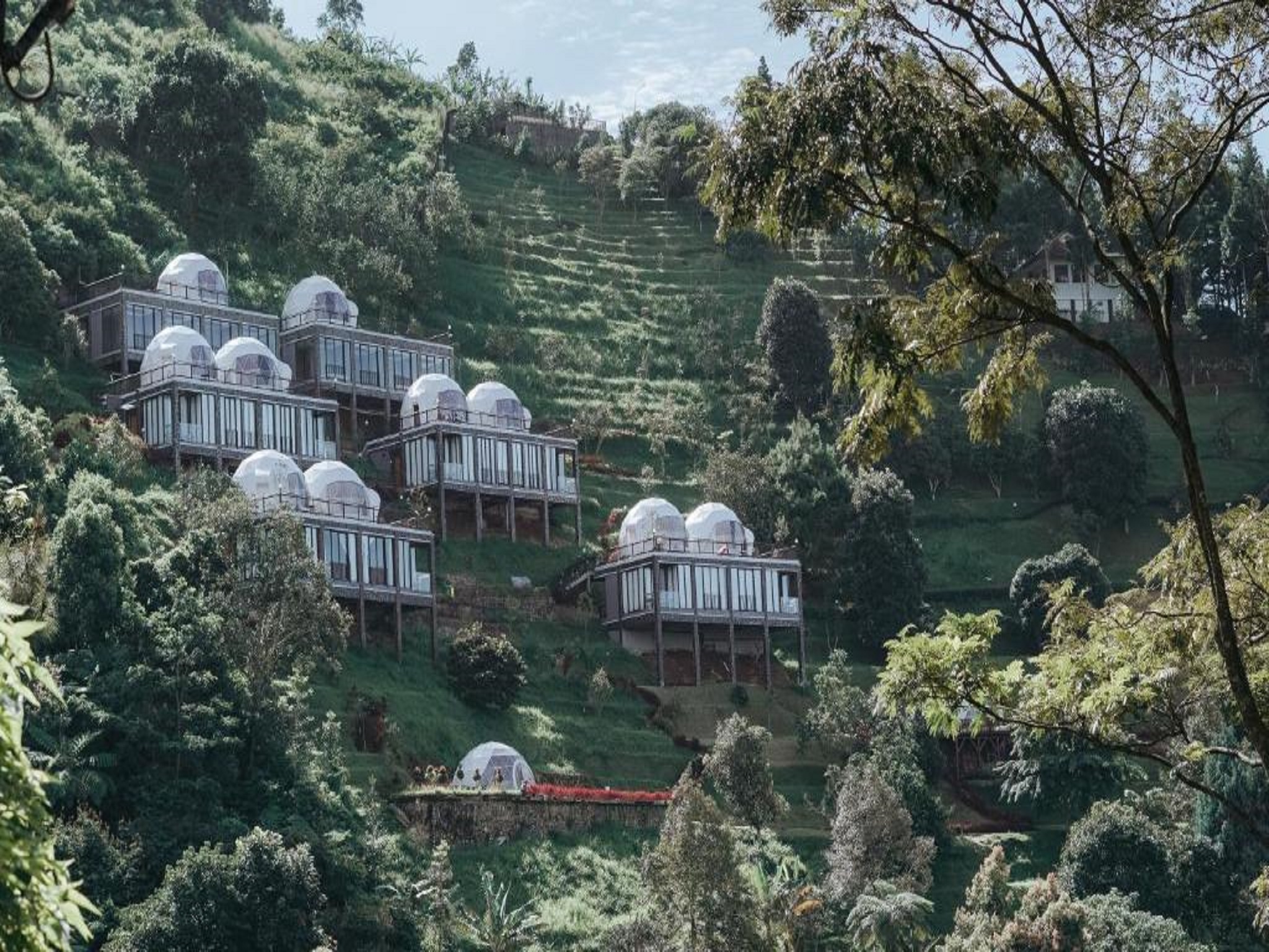 منتجع دامار لانجيت